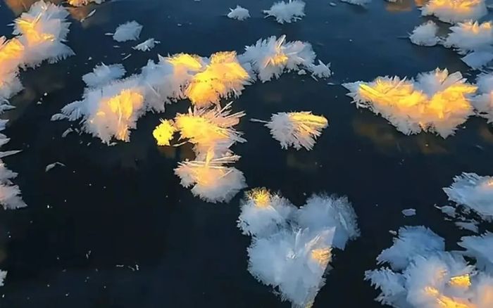 Hồ nước bỗng xuất hiện cảnh tượng hiếm gặp, gây sốt mạng xã hội