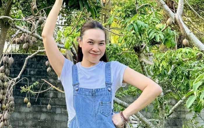 Loại trái cây ở vườn nhà Mỹ Tâm đang trĩu quả hóa ra cực đặc biệt