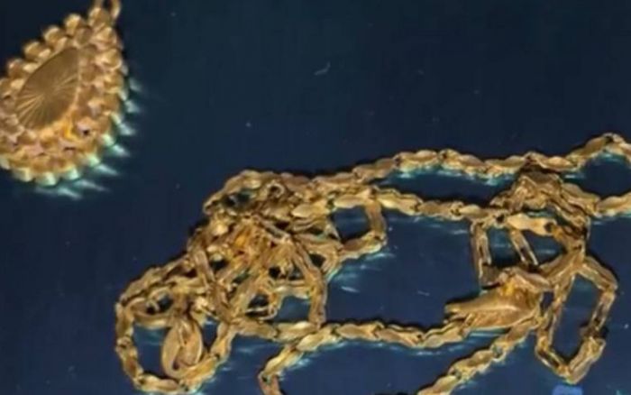 Tên trộm đột nhập căn nhà đã lâu không có người ở, lấy đi thứ khiến ai cũng 'ngã ngửa'