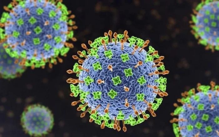 Virus Nipah lập một thống kê đột biến trên Google Việt Nam