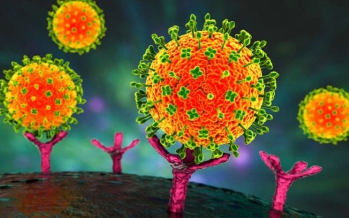 Bộ Y tế: Việt Nam chưa ghi nhận trường hợp mắc bệnh do virus Nipah