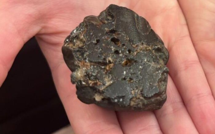 Bé gái 9 tuổi nhặt được 'báu vật' 4,5 tỷ năm tuổi, cả gia đình sốc nặng