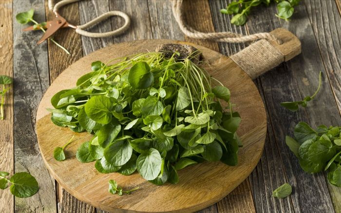 Loại rau chỉ khoảng 10 nghìn đồng/bó ở Việt Nam được Mỹ đánh giá tốt nhất thế giới