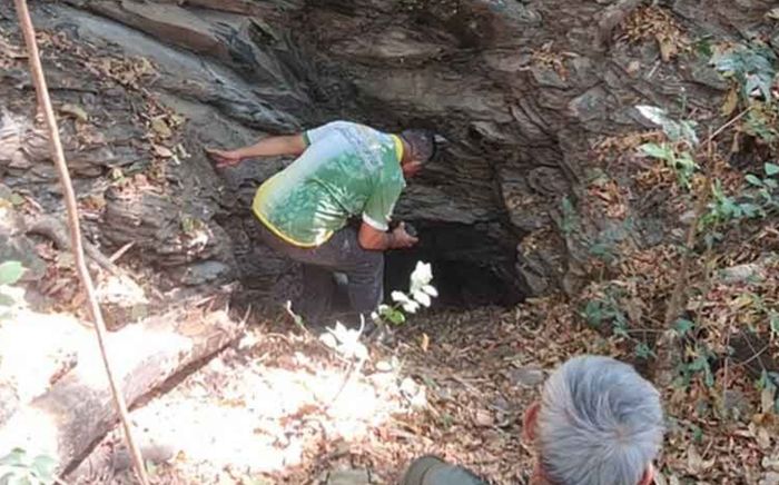 Xôn xao con lươn khổng lồ 800 năm tuổi, người dân đến hang ổ kiểm tra