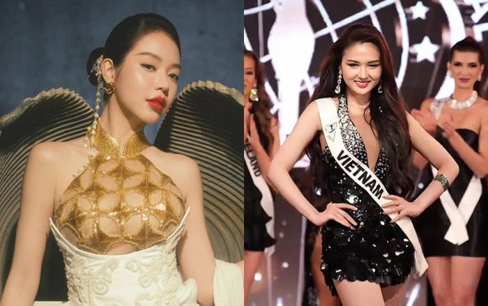 Thanh Thủy phản ứng về kết quả của Thu Ngân sau chung kết Hoa hậu Liên lục địa