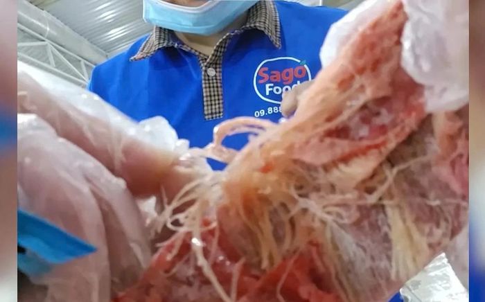 Vụ nghi thịt bẩn đưa vào suất ăn trường học: Phát hiện hơn 350 kg thịt không nhãn hiệu tại Sago Food