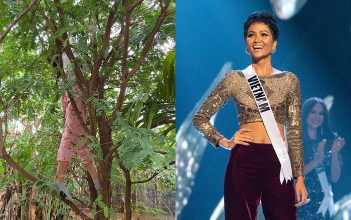 Hoa hậu H'Hen Niê trèo cây hái trái ở nhà vườn rộng 2500m2