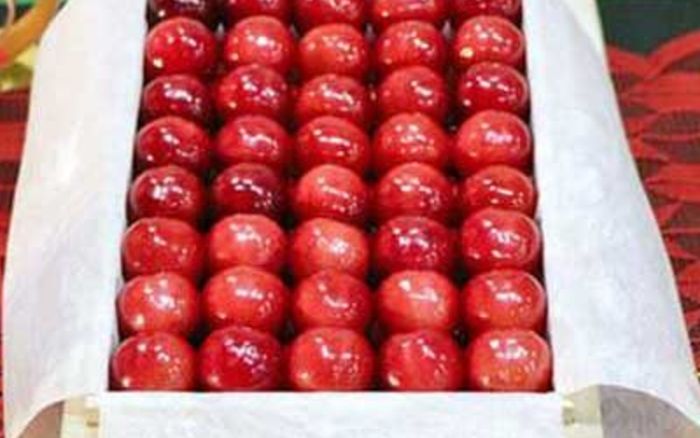 Dân mạng xôn xao trước loại trái cây cực đắt tiền, hơn 4 triệu cho một quả nhỏ xíu