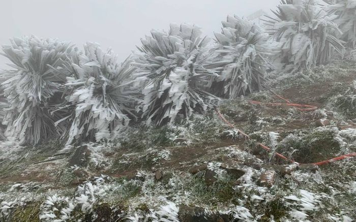 Miền Bắc rét dưới 3 độ C