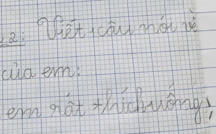 Được yêu cầu viết 1 câu về mẹ, em học sinh viết ra 1 câu 'chấn động'