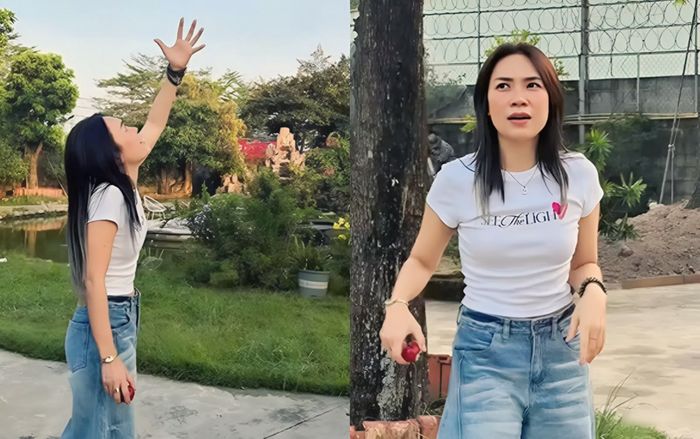 Cảnh tượng đặc biệt bên trong nhà vườn của Mỹ Tâm sau 4 năm