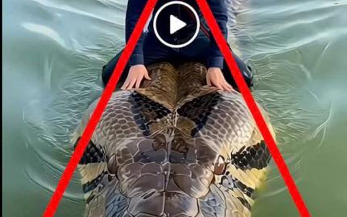 Xử phạt người dùng AI tạo video trăn khổng lồ bơi trên hồ Hoàn Kiếm