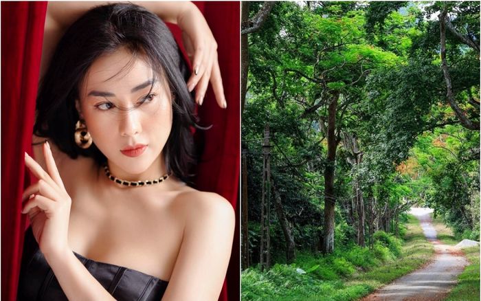 Rời phố thị, tìm về khu rừng xanh mát ở quê nhà Phương Oanh
