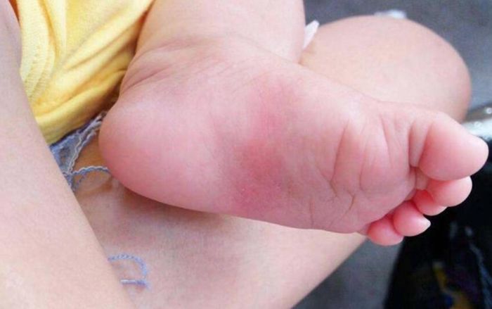 Hiếm gặp: Một bé trai được công nhận có 3 cha mẹ hợp pháp