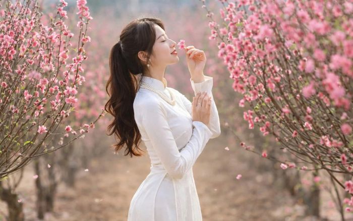 3 con giáp không thích giải thích quá nhiều khi bị hiểu lầm