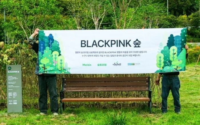 BIGBANG, BLACKPINK, SHINee được đặt tên rừng tại Seoul