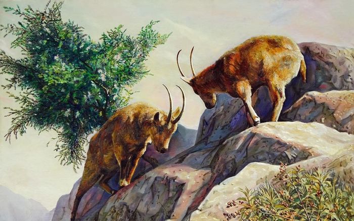 4 con giáp sắp thoát cảnh tiền vừa vào đã hết, cuối năm có cơ hội tích lũy