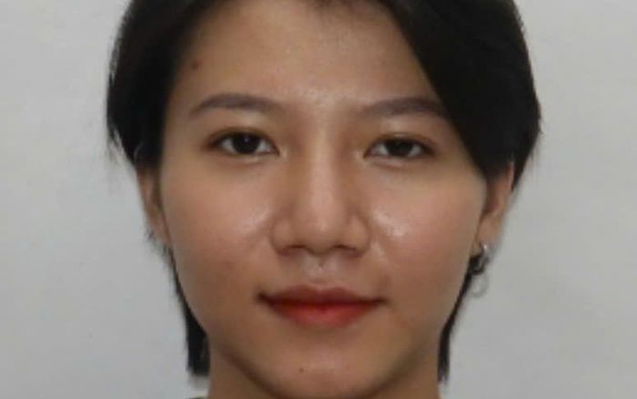 Công an Đà Nẵng tìm người bị hại liên quan Dương Thị Diễm Quỳnh