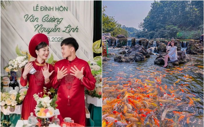 Xứ Nghệ quê bà xã Hồ Văn Cường có một con suối phủ kín cá vàng, lên hình đẹp như cảnh phim