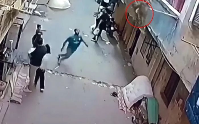 Cậu bé mắc vào dây phơi đồ rồi rơi khỏi ban công, hành động của người hàng xóm gây bất ngờ