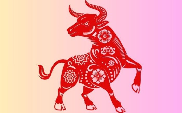 3 con giáp thích hợp làm việc ở hậu trường, càng kín tiếng càng thăng tiến