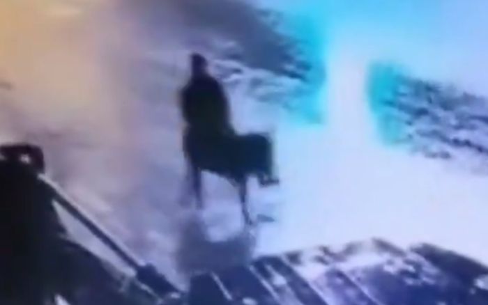 Xôn xao người đàn ông cướp tiệm vàng, cưỡi con lừa để tẩu thoát