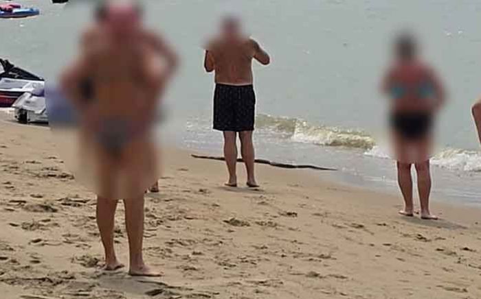 Sinh vật đáng sợ trôi vào bãi biển, khách du lịch hoảng loạn bỏ chạy