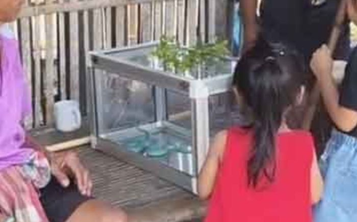 Người phụ nữ bắt được con rắn màu xanh lam kỳ lạ, dân làng kéo nhau đến xem