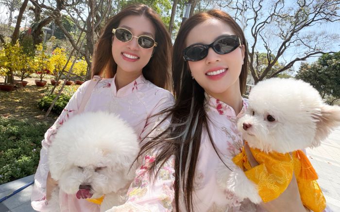 'Tan chảy' với loạt ảnh Kỳ Duyên và Thiên Ân đi du xuân