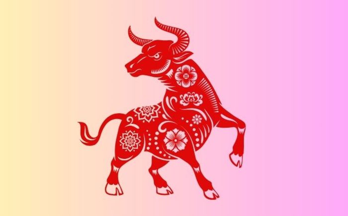 Không phải ai cũng biết: 5 con giáp càng về trung niên càng phát tài, hậu vận dễ sống sung túc