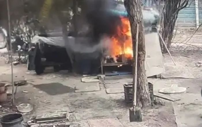 Lồng nuôi chó bốc cháy dữ dội khiến người chủ đau xót, kiểm tra camera thì mới rõ sự thật