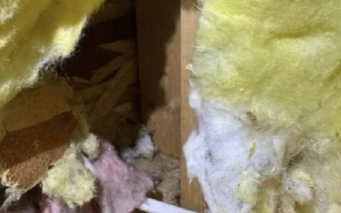 Chi hơn 9 tỷ đồng mua nhà, cô gái 28 tuổi mắc bệnh lạ sau 2 ngày vào ở