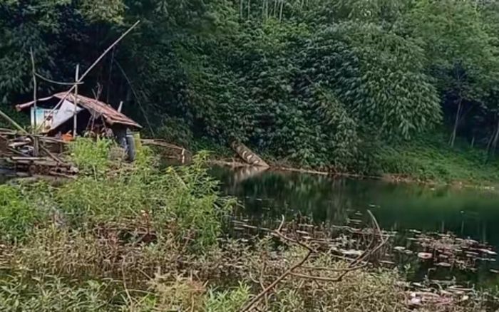 Đang quay video phong cảnh, thanh niên bắt gặp cảnh tượng 'rùng mình'