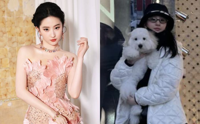 Lưu Diệc Phi để mặt mộc khi đăng ảnh 'sống ảo', nhan sắc hiện tại được khen trẻ như gái đôi mươi