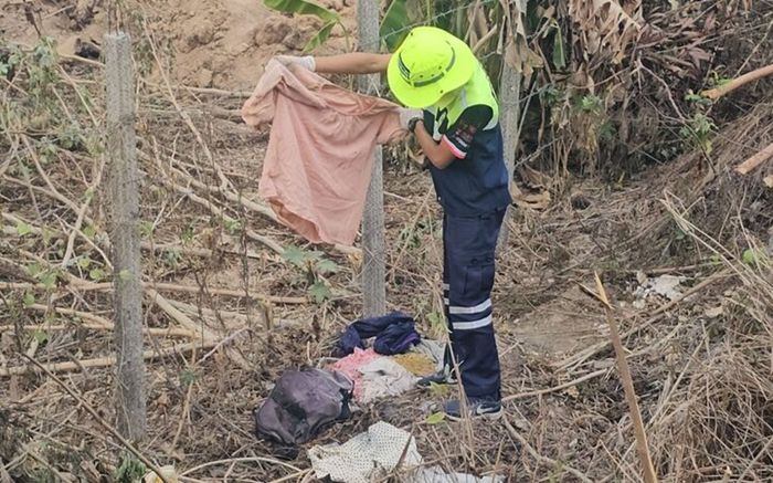 Đi tưới vườn dừa, nam công nhân báo cảnh sát sau khi chứng kiến cảnh tượng ám ảnh