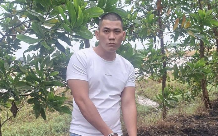 Kẻ áp sát làm ngã người phụ nữ để cướp tài sản bị bắt giữ, biết nhân thân càng bất ngờ hơn