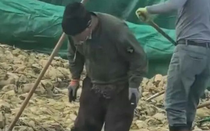 Phẫn nộ người đàn ông khạc nhổ vào thùng dưa cải muối bán ra thị trường