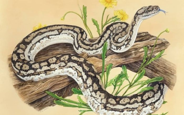 Những con giáp này càng ít chia sẻ chuyện tiền bạc thì cuộc sống càng ổn định