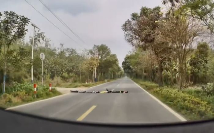 Đang lái xe, tài xế hốt hoảng thắng gấp khi chứng kiến cảnh tượng giữa đường