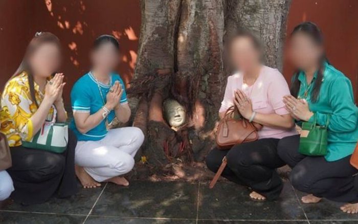 Đầu tượng Phật 'mọc' lên từ thân cây bồ đề, người dân ùn ùn đến xem