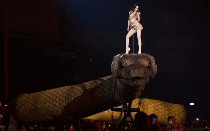 Con rắn khổng lồ bị loại bỏ trong concert của Thái Y Lâm, fan thất vọng đòi hoàn tiền