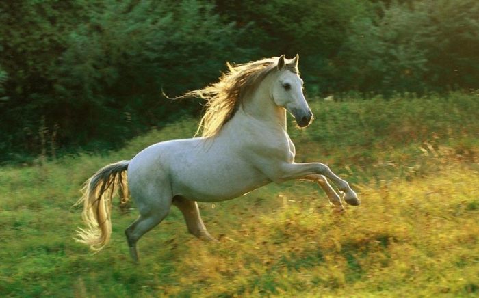 Điểm tên 3 con giáp dễ vướng thị phi, hao tài tốn của nếu chủ quan trong thời gian tới