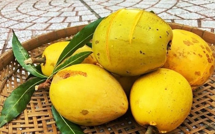 Loại quả màu vàng óng có nhiều ở miền Bắc, xưa không được chuộng, giờ có tiền triệu mới mua được