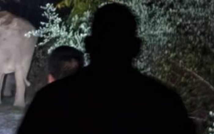 Con thú khổng lồ xông vào nhà dân, gây ra sự việc ám ảnh