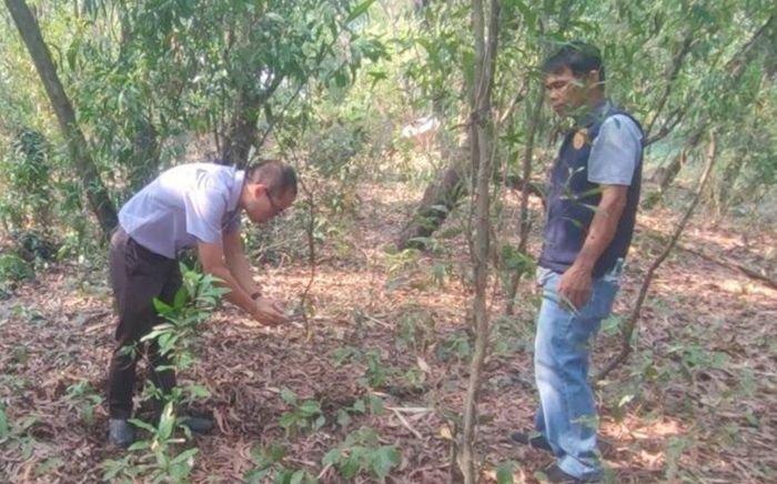 Mua đất xây nhà, người đàn ông đến kiểm tra thì phát hiện cảnh tượng hãi hùng