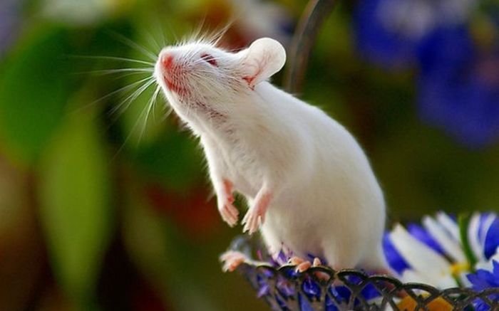 3 con giáp dễ 'mất tiền như rơi' trong 3 tháng tới, cần cẩn trọng tuyệt đối