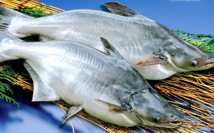 4 loại cá được thế giới đánh giá 'tốt nhất Việt Nam', ngoài chợ bán đầy với mức giá rẻ bèo