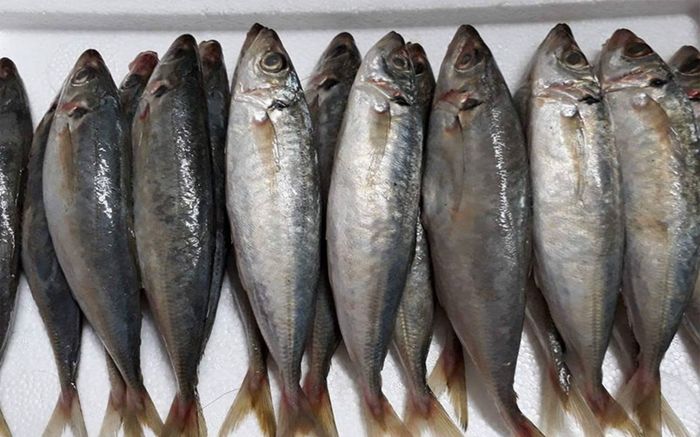 Loại cá quen thuộc ở chợ Việt, giá rẻ nhưng bổ dưỡng không kém cá hồi, kho cà chua là ngon nhất