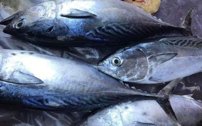 3 loại cá quen mặt dễ tích tụ kim loại nặng, nhiều người không biết vẫn ăn thường xuyên
