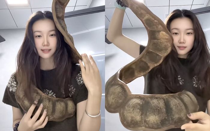 Cô gái mang loại quả khổng lồ lên máy bay, hành khách xôn xao